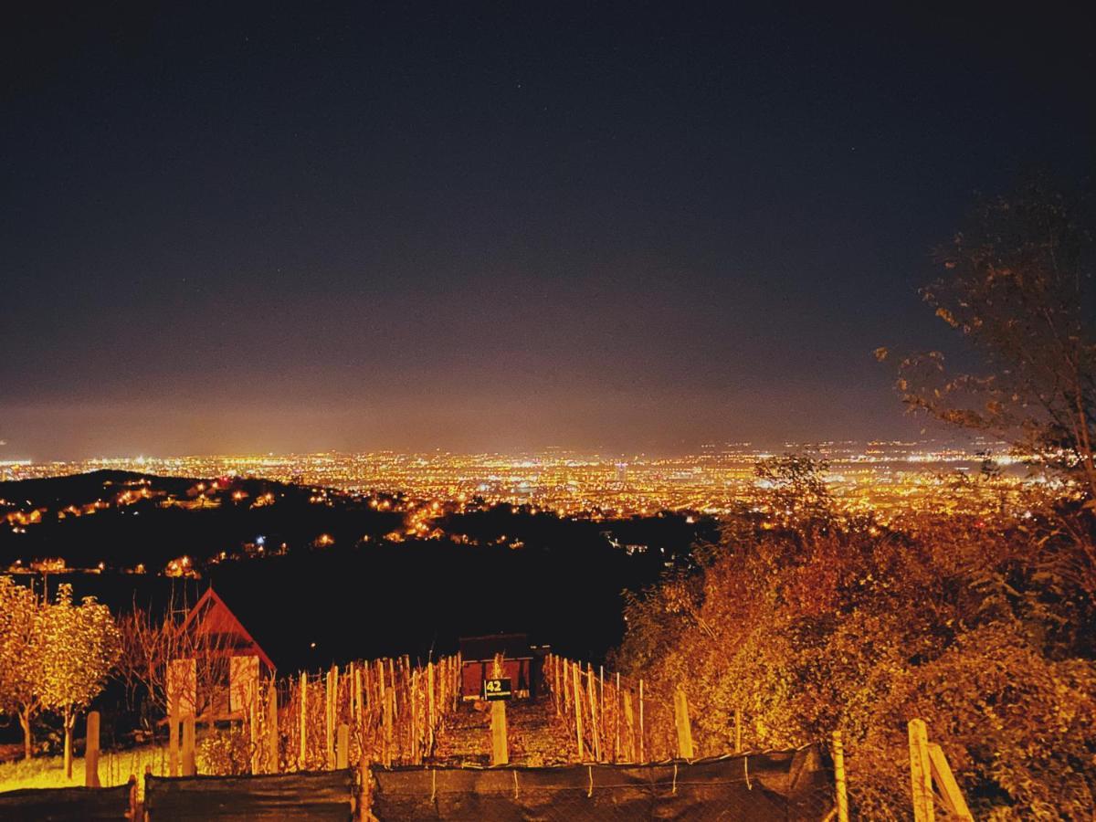 “bear Hill” Zagreb