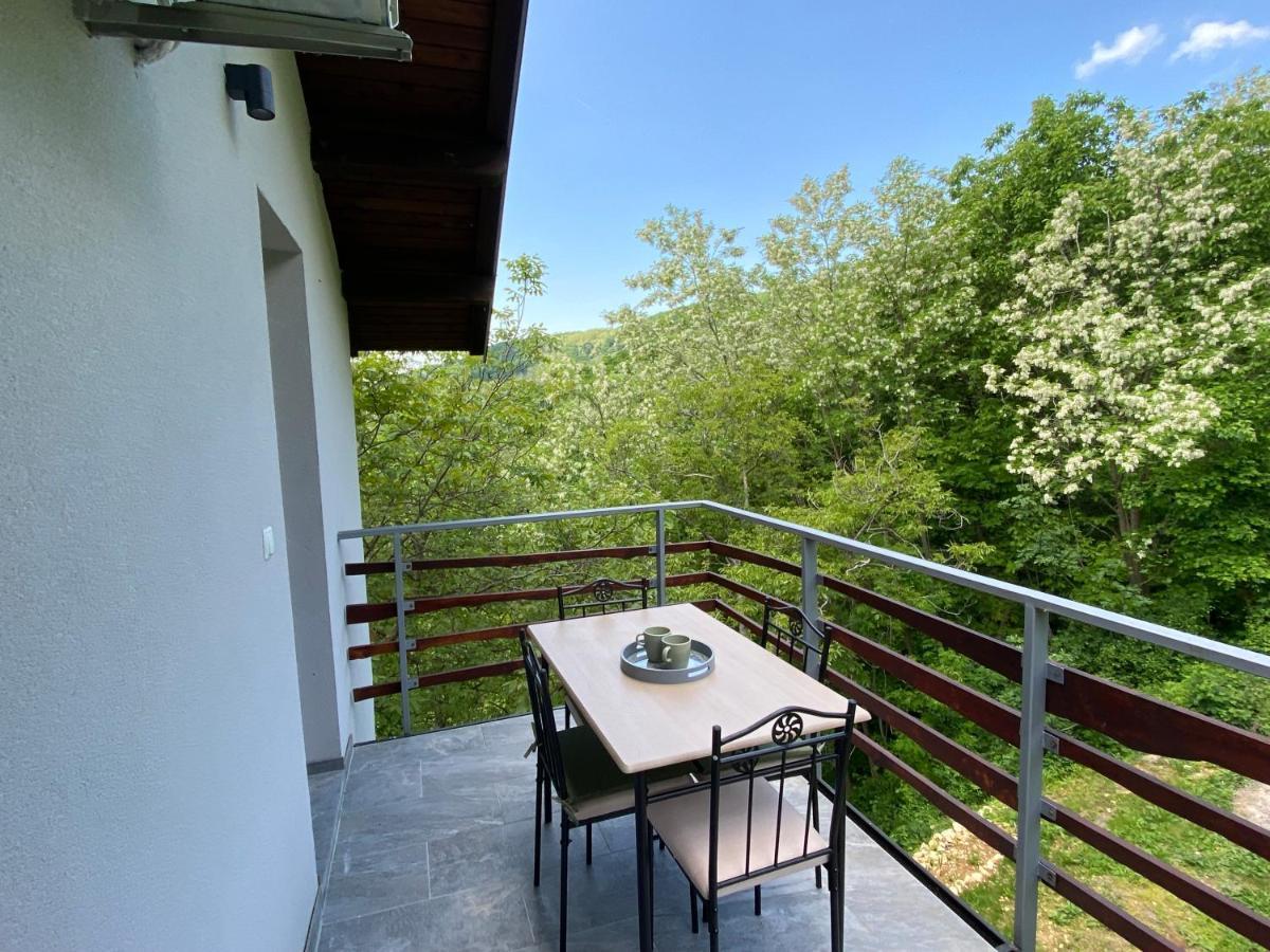 Apartment “bear Hill”