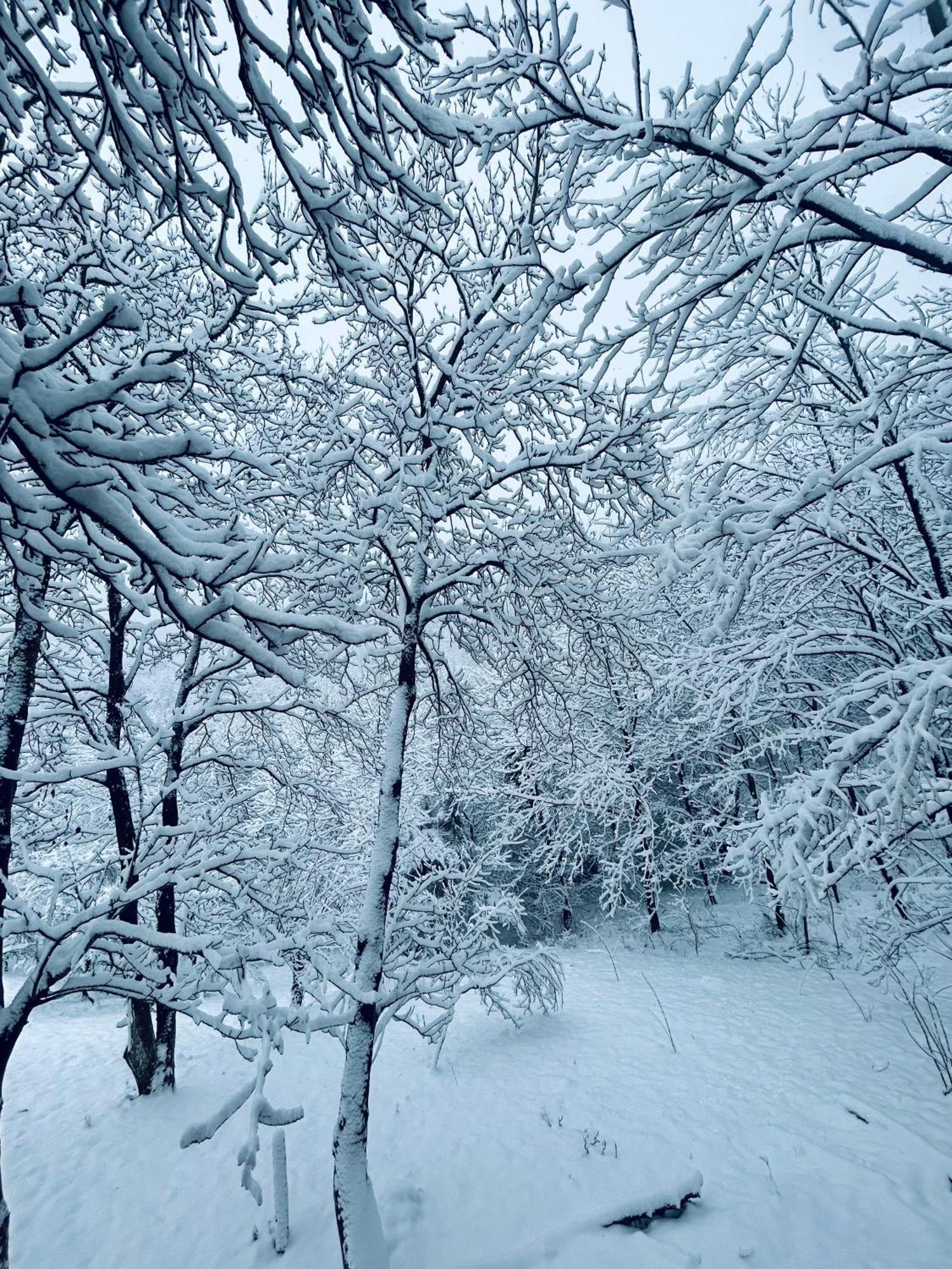 “bear Hill” Zagreb