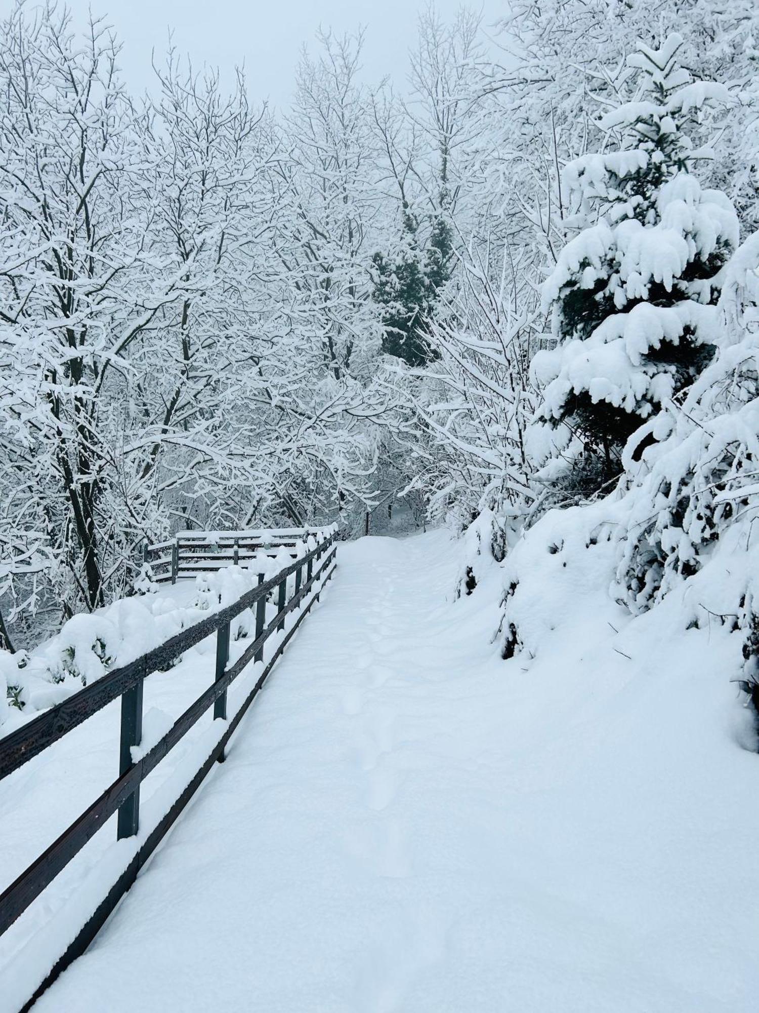 “bear Hill” Zagreb